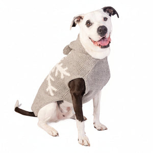 Dog wearing a gray sweater with a hood on a white background