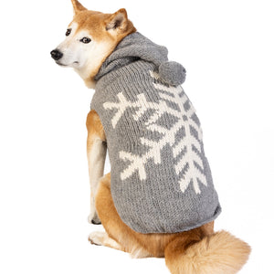 Dog wearing a gray sweater with white snowflake patterns on a white background