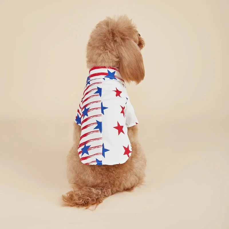Poodle wearing American Flag & Stars Dog Shirt