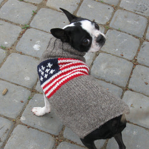 Dog wearing a knitted sweater with an American flag pattern on a stone pavement.