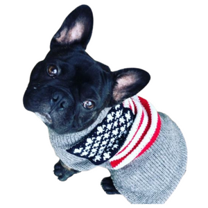 Black dog wearing a gray sweater with American Flag pattern on a white background