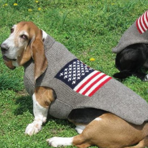 Basset Hound wearing a sweater with an American flag design on grass