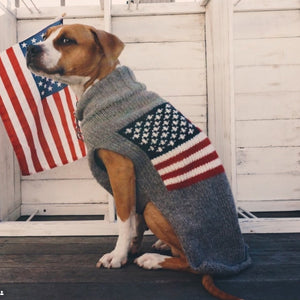Dog wearing a sweater with American flag design in front of an American flag.
