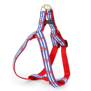 Up Country Anchors Aweigh Dog Harness & Leash Matching Set