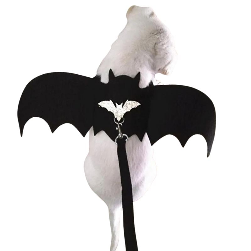 Halloween Bat Wings Dog Costume & Leash