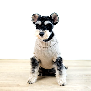 Terrier in Beige Chic Cable Knit Turtleneck Dog Sweater