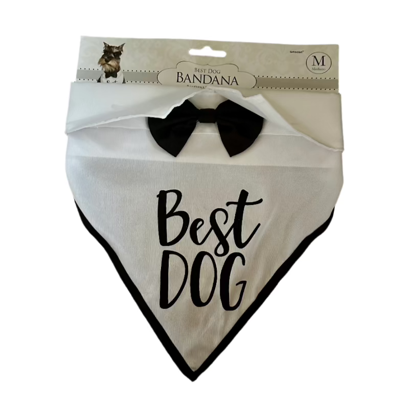 Terrier in Best Dog Wedding Bandana