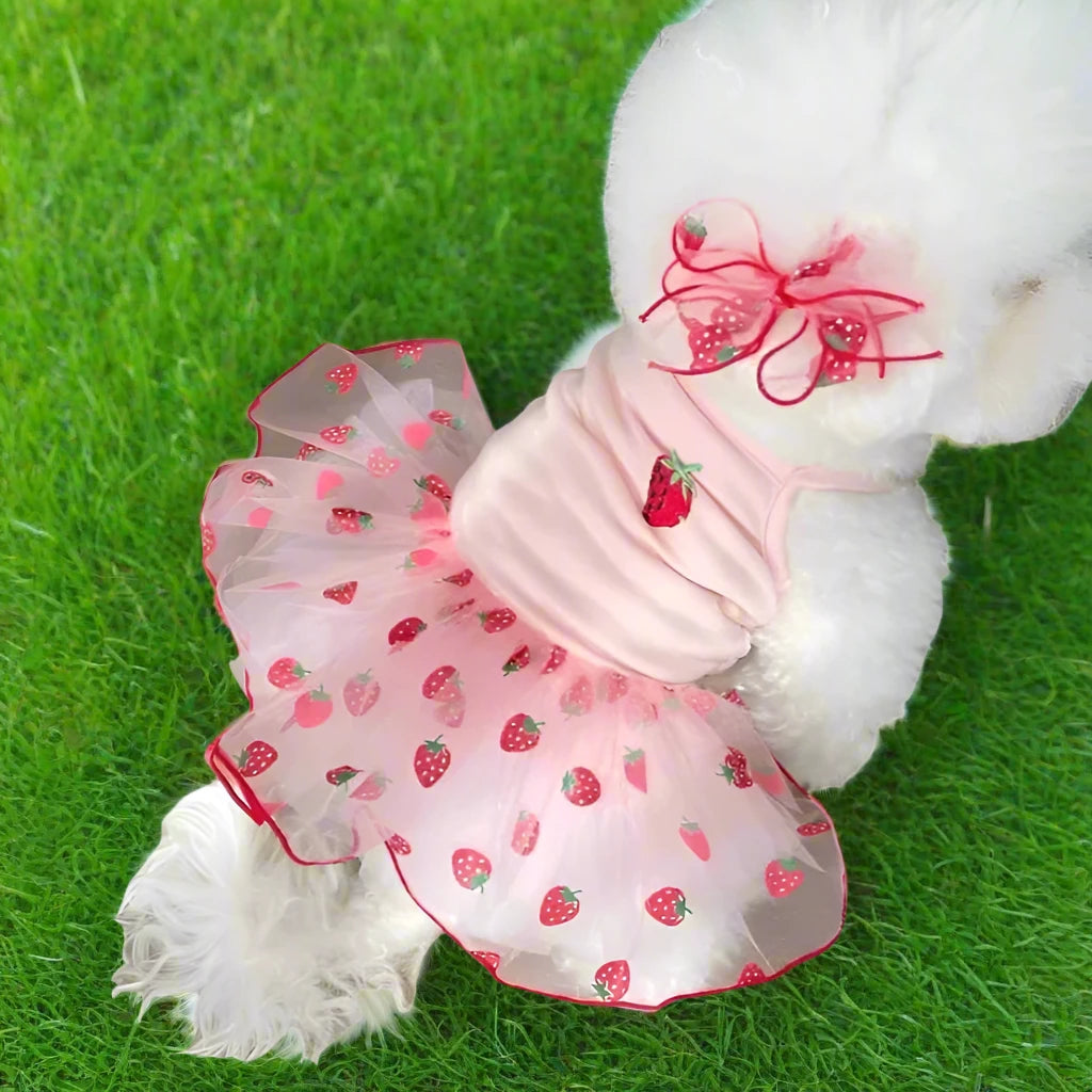 Cute Strawberry Dog Dress