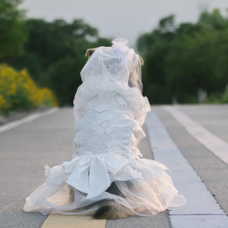 Big Dog Frilly Wedding Dress in white