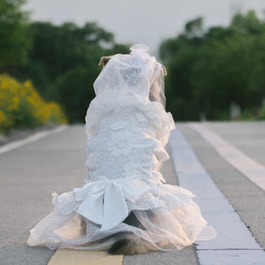 Big Dog Frilly Wedding Dress