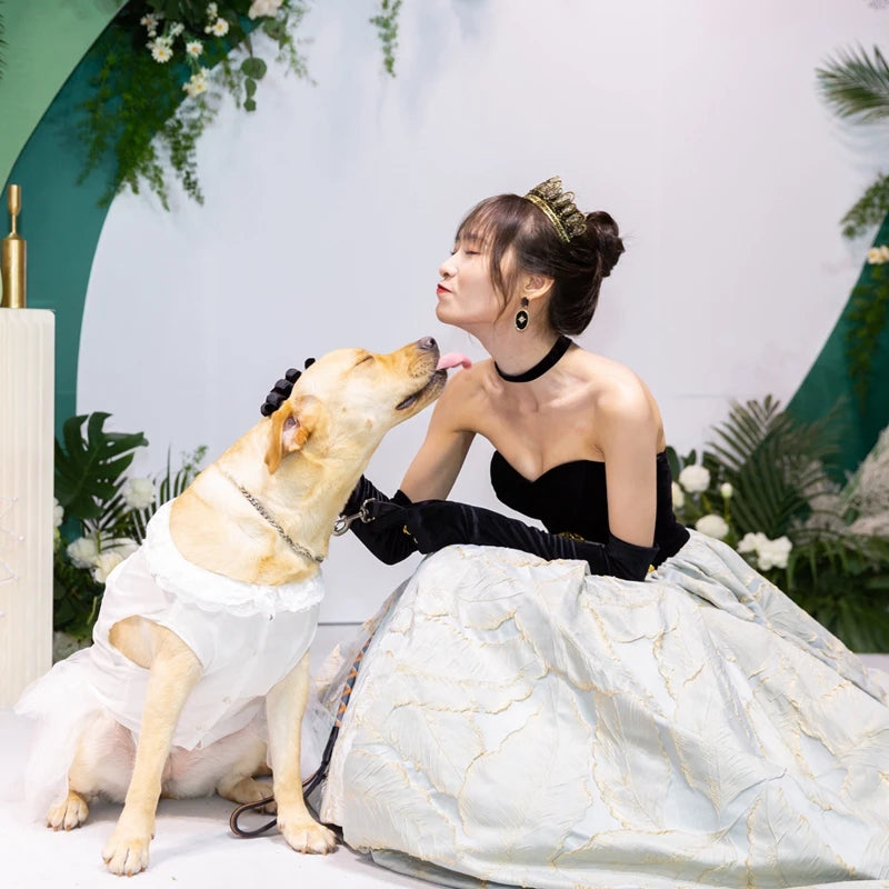 Big Dog Wedding Dress | Poshdoglife.com - Posh Dog Life Big Dog Wedding Dress | Poshdoglife.com - Posh Dog Life
