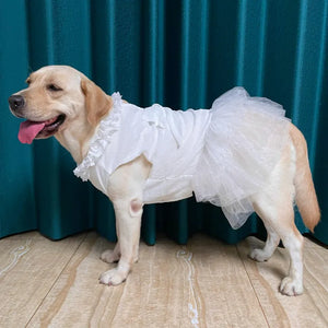 Yellow lab wearing Large Dog Wedding Dress in white