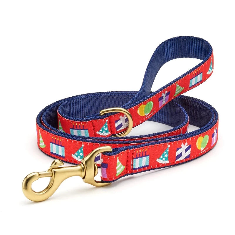 Up Country Birthday Gift Dog Harness & Leash Matching Set