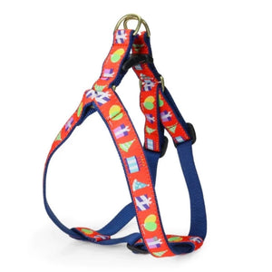 Up Country Birthday Gift Dog Harness & Leash Matching Set