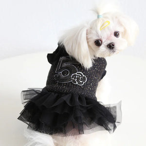 Small dog wearing a black dress with ruffles on a white background