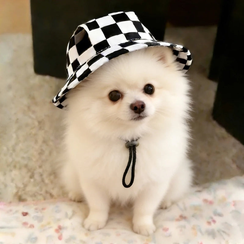 Black and white checkered bucket hat on white background