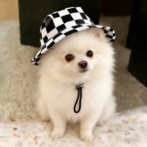 Small white Pomeranian wearing a black and white checkered hat on a floral-patterned surface.
