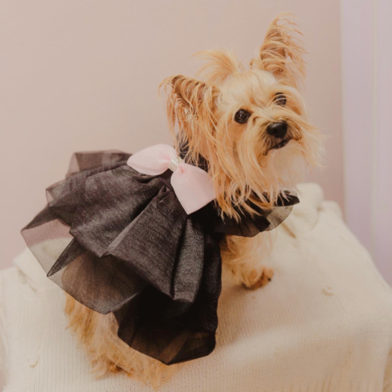  Adorned with a sweet pink bow, this Black Princess Dog Party Dress is made of flowing layers of tulle.