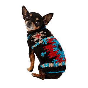 Miniature Pinscher wearing a colorful knitted sweater on a white background
