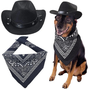 Dog wearing a black cowboy hat and bandana with a matching hat and bandana set on a white background.