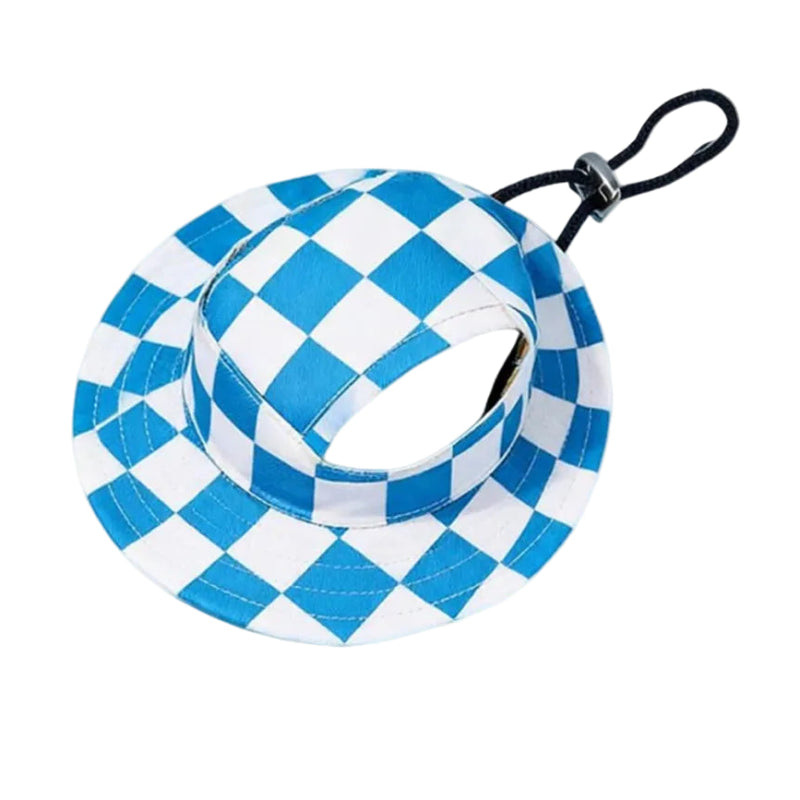 Dog wearing a blue and white checkered hat on a white background