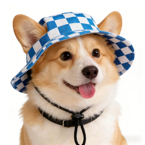 Dog wearing a blue and white checkered hat on a white background