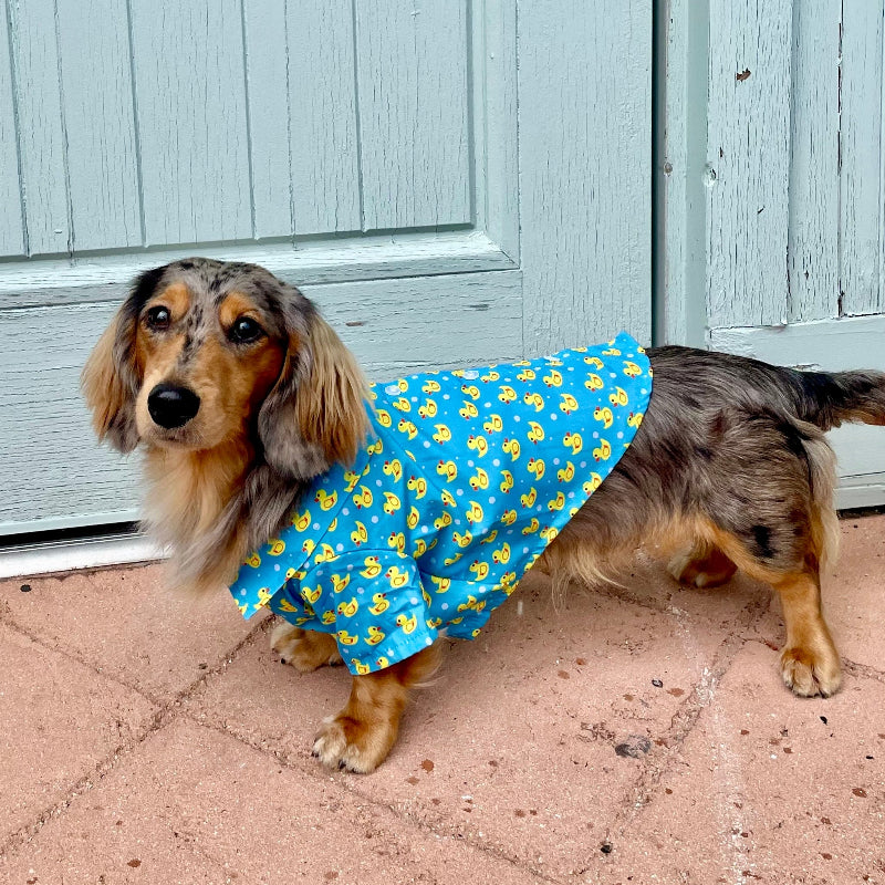 The Worthy Dog - Rubber Duck Shirt