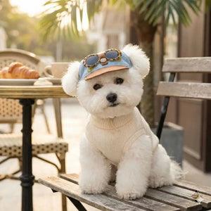 Small white dog wearing a cap with sunglasses on, sitting on a wooden bench outdoors.