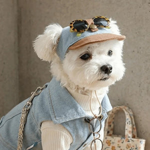 Small white dog wearing a denim outfit with sunglasses on a cap and a handbag.