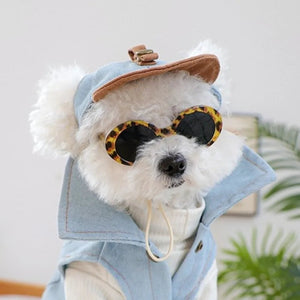 White dog wearing a denim outfit with leopard sunglasses and blue denim cap with brown visor.
