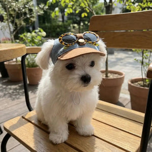 Small white dog wearing a cap and sunglasses on a wooden chair outdoors.