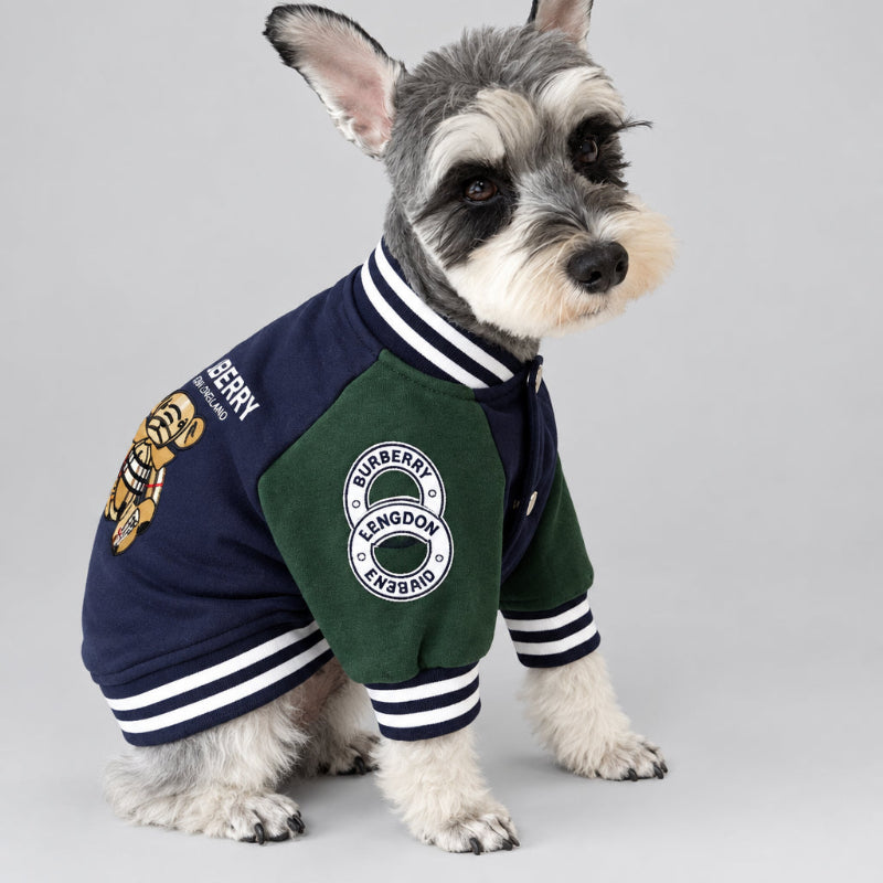Navy and green Burberry-inspired varsity dog jacket with embroidered plaid teddy bear and striped trim