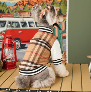 A small gray dog wearing a beige plaid varsity-style jacket with white sleeves sits on a wooden table, with a vintage red van mural and a red lantern in the background.