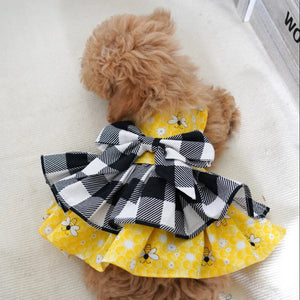 Small dog wearing a yellow dress with black and white checkered bow on a light background