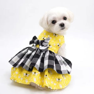 Small white dog wearing a yellow dress with black and white checkered ruffles on a white background