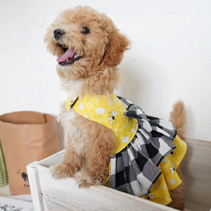 Dog wearing a yellow busy bee dog harness dress with a black and white checkered skirt
