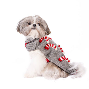 A small fluffy dog wearing a gray knit sweater with red and white candy cane patterns, photographed against a solid white background.