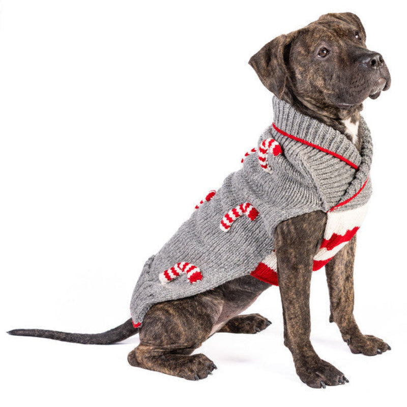 A brindle dog wearing a gray knit sweater with red and white candy cane and striped patterns, photographed against a solid white background.