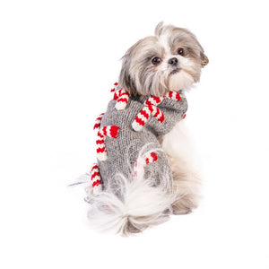 A small fluffy dog wearing a gray knit sweater with red and white candy cane accents, photographed on a plain white background.
