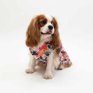 Cavalier wearing reversible floral lilac puffer jacket on white background