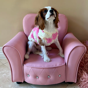 Cavalier wearing heart fleece