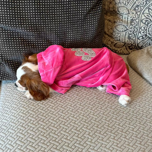 Cavalier sleeping in hot pink tracksuit