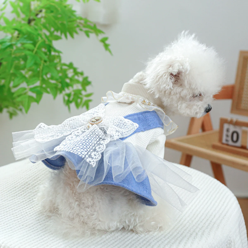 Chabby Chic Victorian Dog Dress