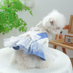 Chabby Chic Victorian Dog Dress on Bichon Frise