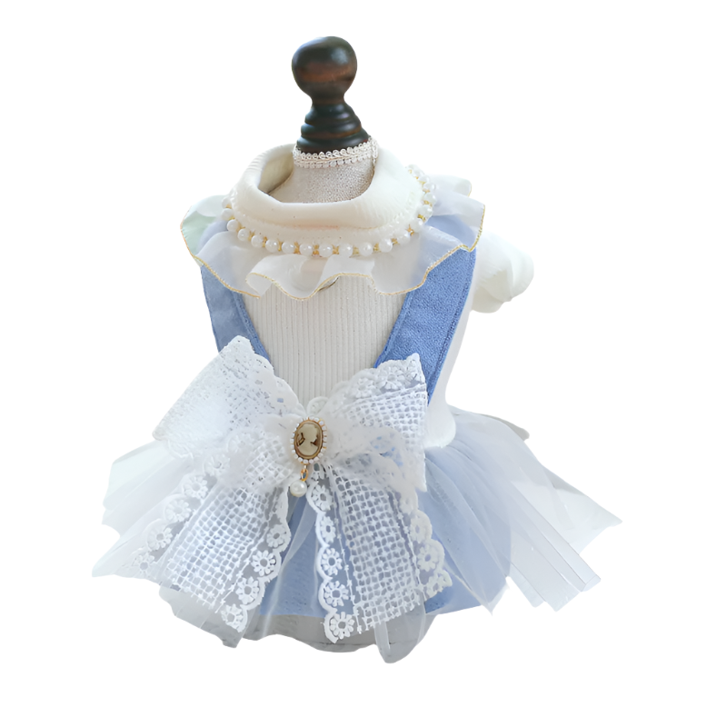 Chabby Chic Victorian Dog Dress