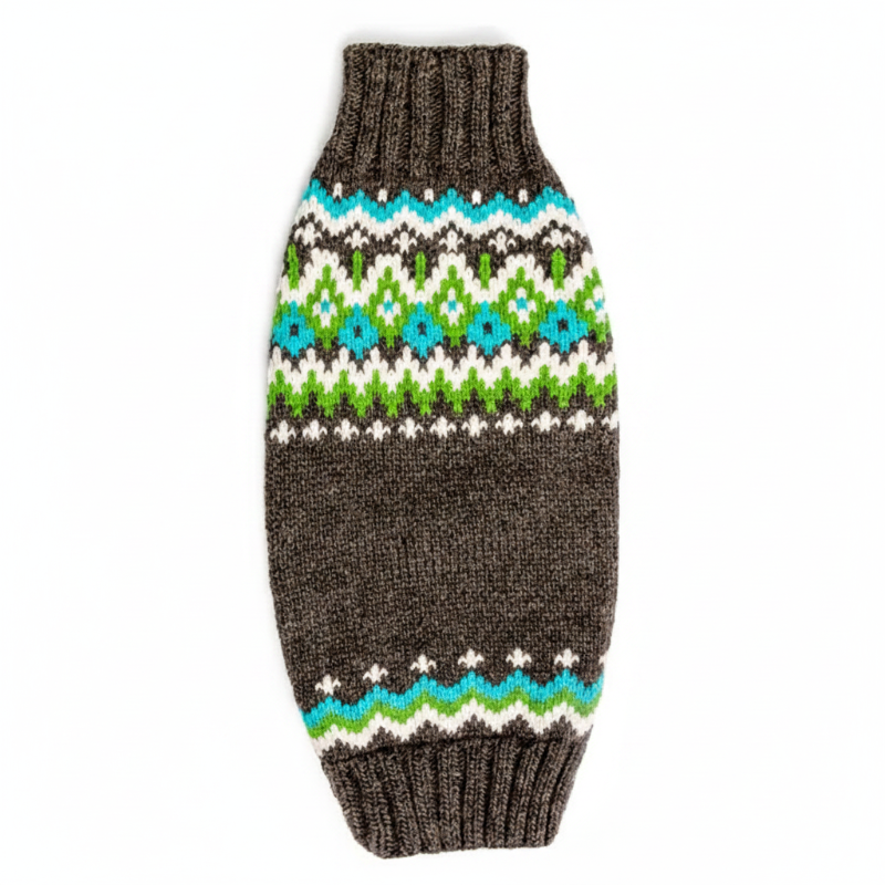 Dog wearing a patterned sweater on a white background