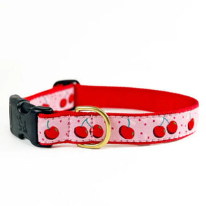 Dog collar with cherry pattern on a white background