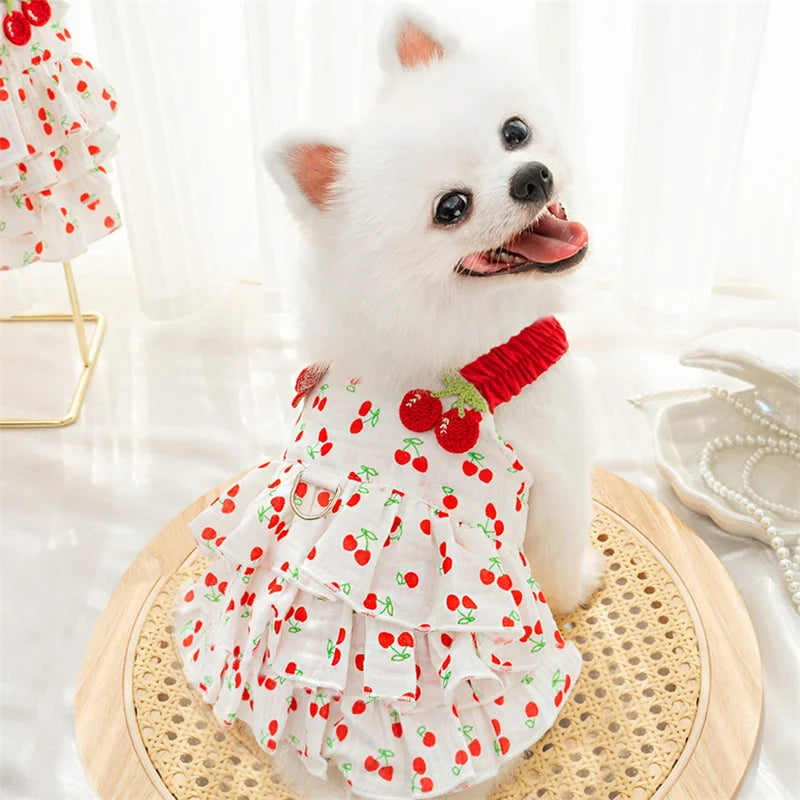 Pomeranian in Cherry dog dress