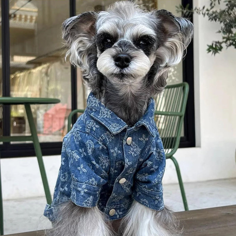 Chewy Vuitton Denim Dog Jacket