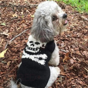 Poodle wearing a black and white knitted sweater with a skull pattern outdoors on a leaf-covered ground.